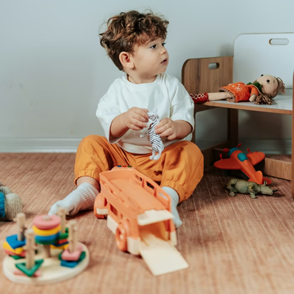 Executive functioning